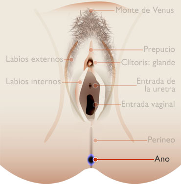 20061226025007-imagenano.jpg