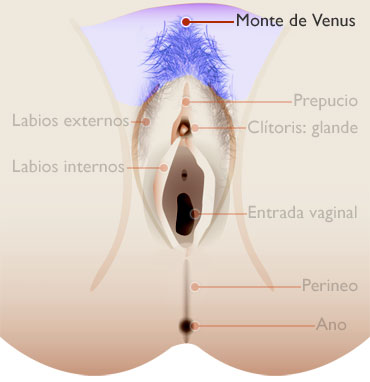 MONTE DE VENUS - externo
