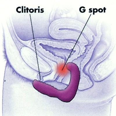 Estimulador de punto G, Rock Chick vibrador de silicona